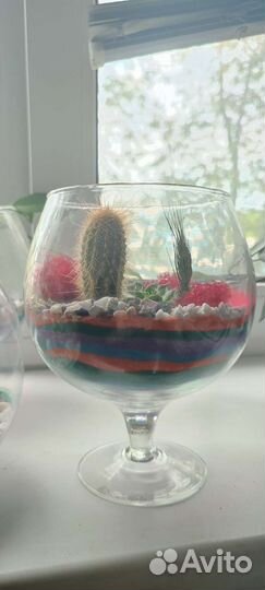 Проданные Флорариумы -2