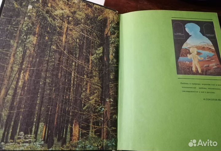 Книга для чтения по охране природы А. Н. Захлебный