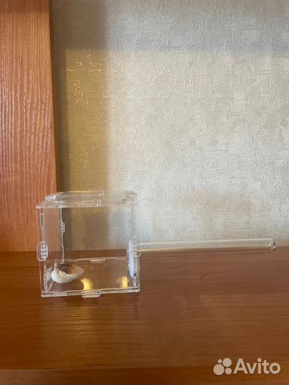 Муравьиная ферма