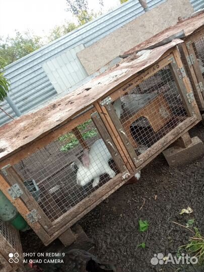 Клетка для кролика