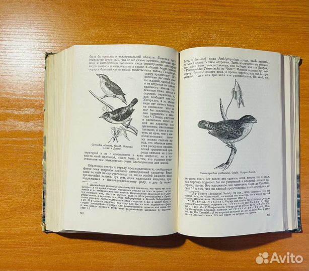 Путешествие натуралиста вокруг света, Дарвин