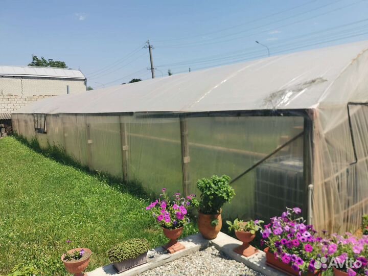 Теплица. 22.5 х 8