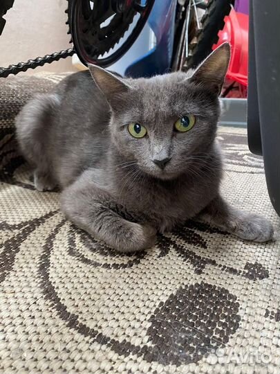 Крутая девчонка