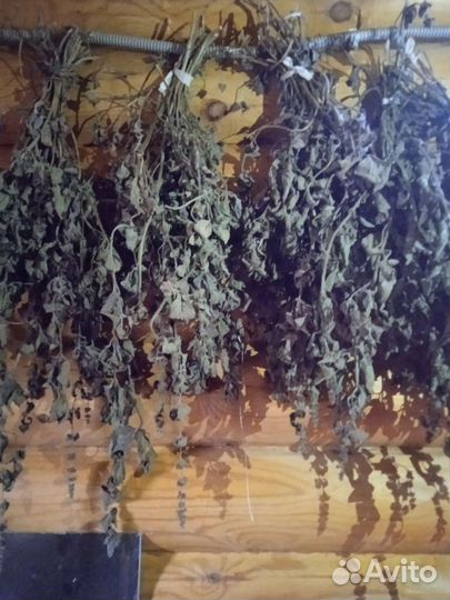 Мята сушеная