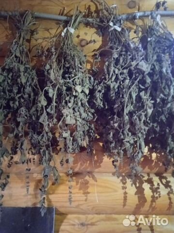 Мята сушеная