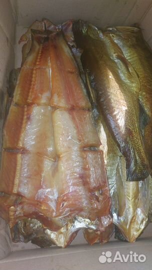 Свежая рыба
