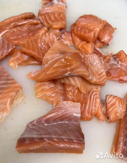 Лосось (Семга)