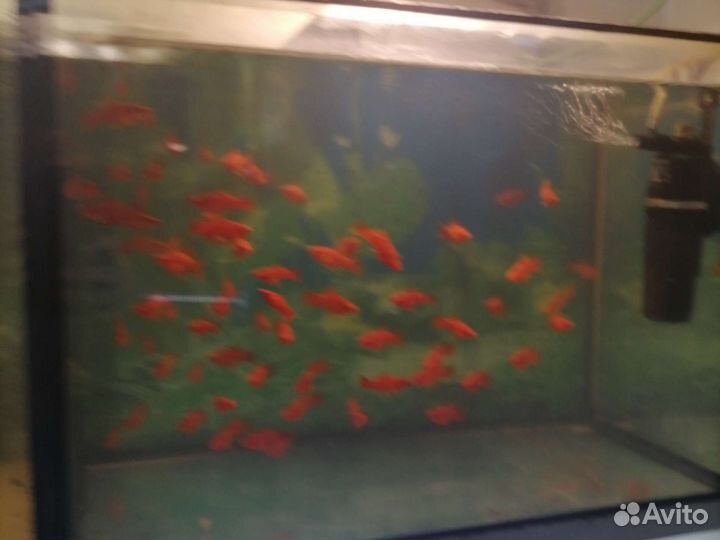 Украшение для аквариума