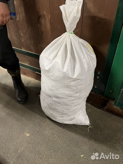 Конский навоз