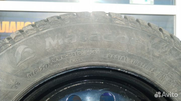 Matador MP 50 Sibir Ice 175/70 R13