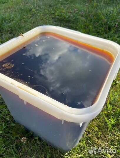 Мед Алтайское разнотравье оптом 2023