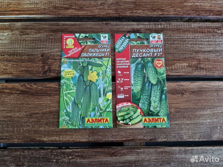 Семена огурцов №1