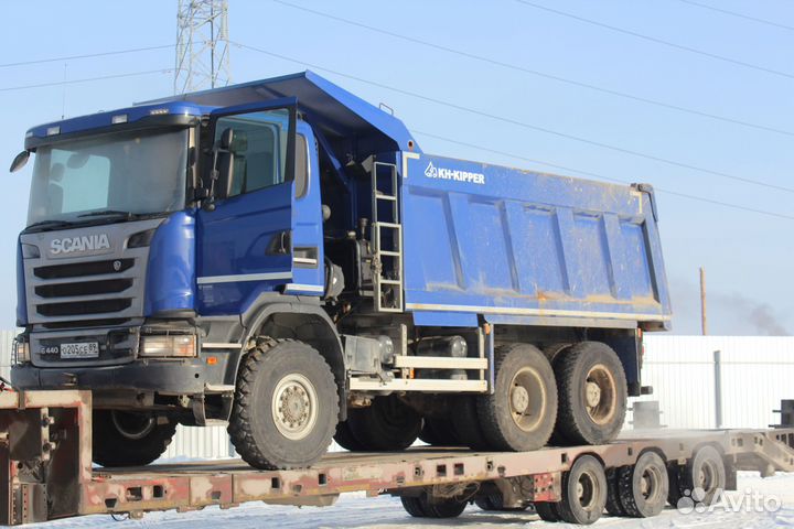 Услуги трала собственник