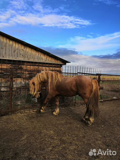 Советский тяжеловоз