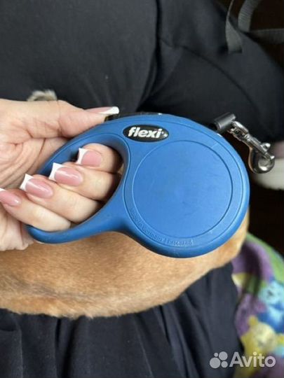 Рулетка поводок для собак flexi xs classic 3 метра