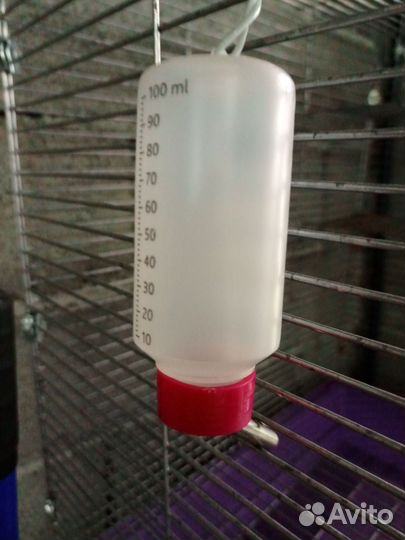 Большая клетка для крыс