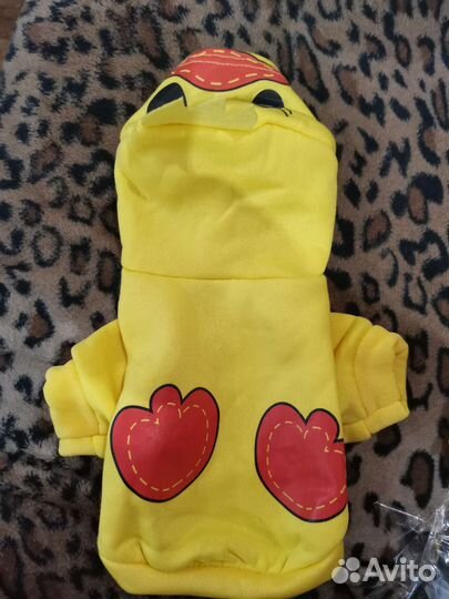 Одежда для собак