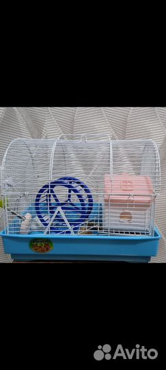 Джунгарский хомяк с клеткой