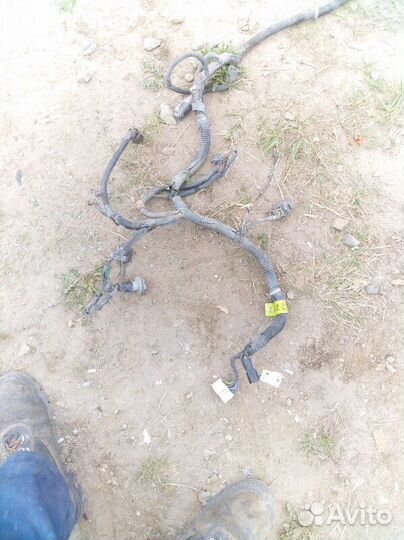 Проводка птф Chevrolet Lacetti седан F16D3 2006