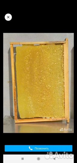 Продаётся сушь дадановская светлая