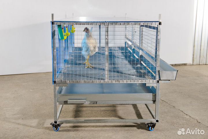 Клетка для перепелов