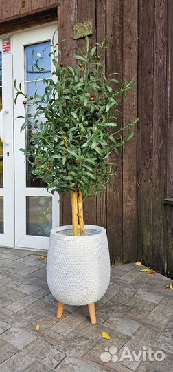 Искусственная Олива