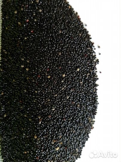 Семена амаранта