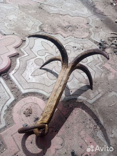 Якорь, кошка