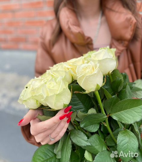 Букет свежих голландских роз 15 шт