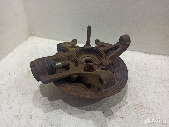 Кулак задний правый