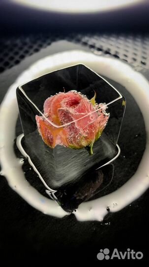 Ищем партнеров по реализации льда