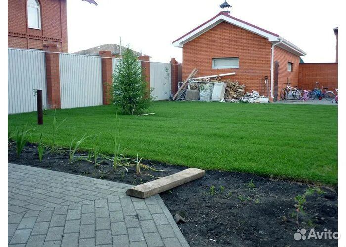 Рулонный газон под ключ