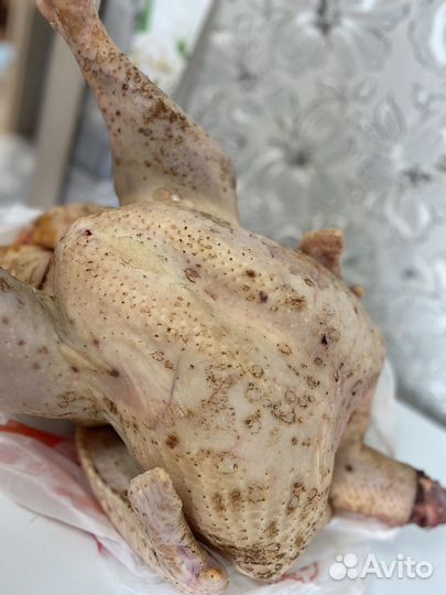 Индюшиное мясо (индюшатина)