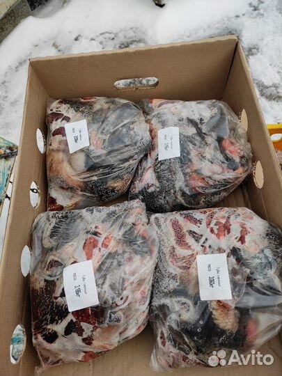 Корм для собак мясо субпродуты