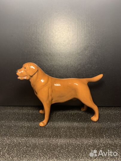 Лабрадор фарфор