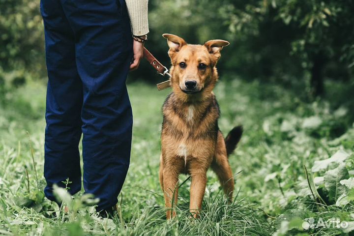Молодой Жорж проводит детство в приюте