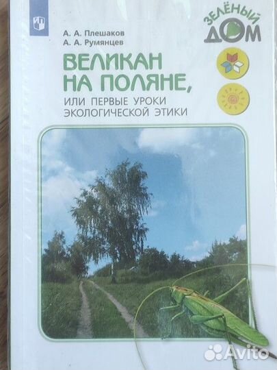 Великан на поляне