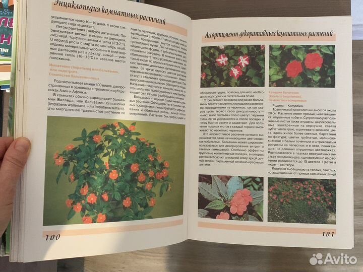 Книга по растениям