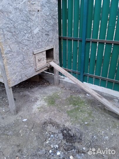 Курятник на 10 -20 кур