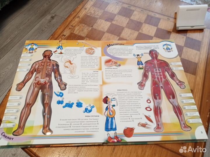 Книга тело человека