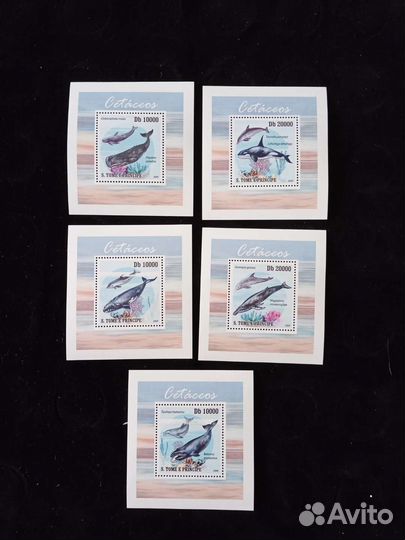 C. Tome e Principe фауна чистые