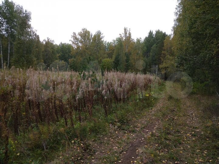 Участок 7 га (СНТ, ДНП)