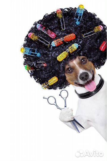 Курсы Парикмахера, Мастера маникюра и педикюра,Мас