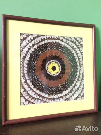 Панно декоративное из крыльев бабочек