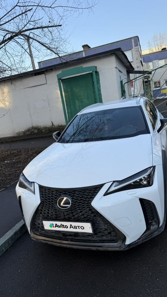 Lexus UX: фото из отзыва
