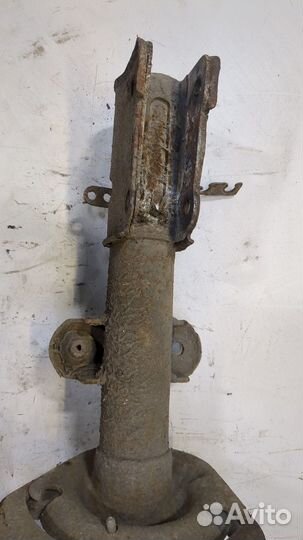 Амортизатор подвески Chrysler Voyager, 2008