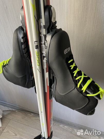 Беговые лыжи