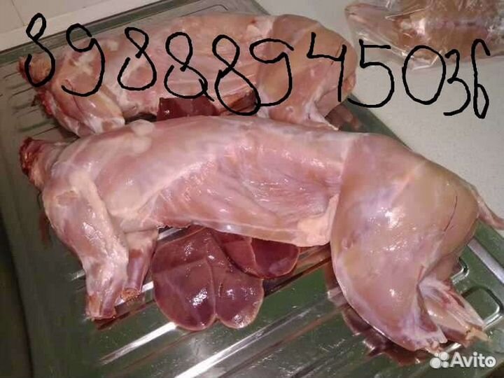 Мясо кролика