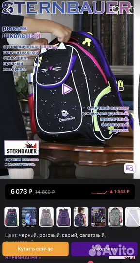 Рюкзак sternbauer