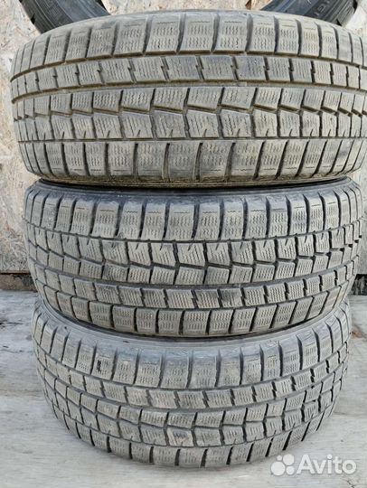 Dunlop Winter Maxx 205/55 R16 91Q